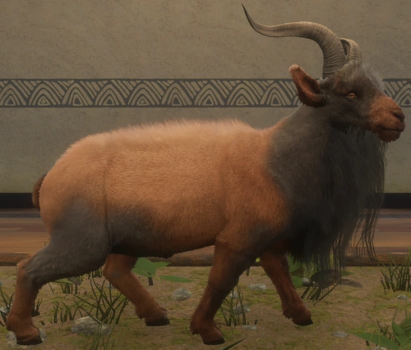 深褐色 - 右侧（雄）