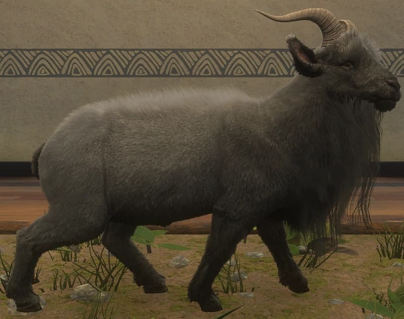 黑色 - 右侧（雄）