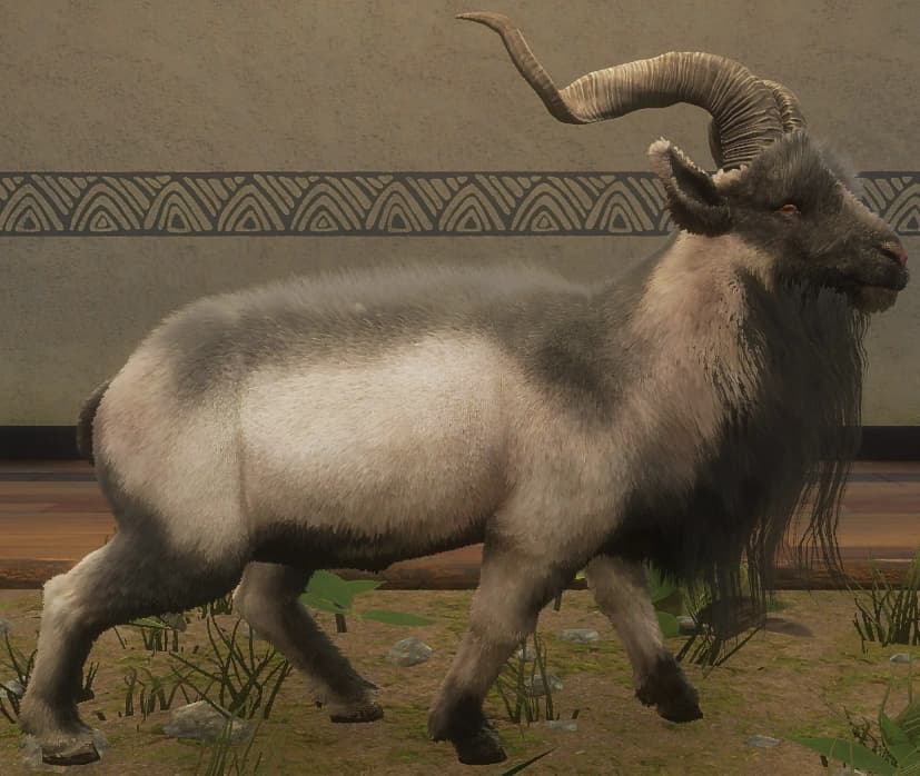 黑白色 - 右侧（雄）