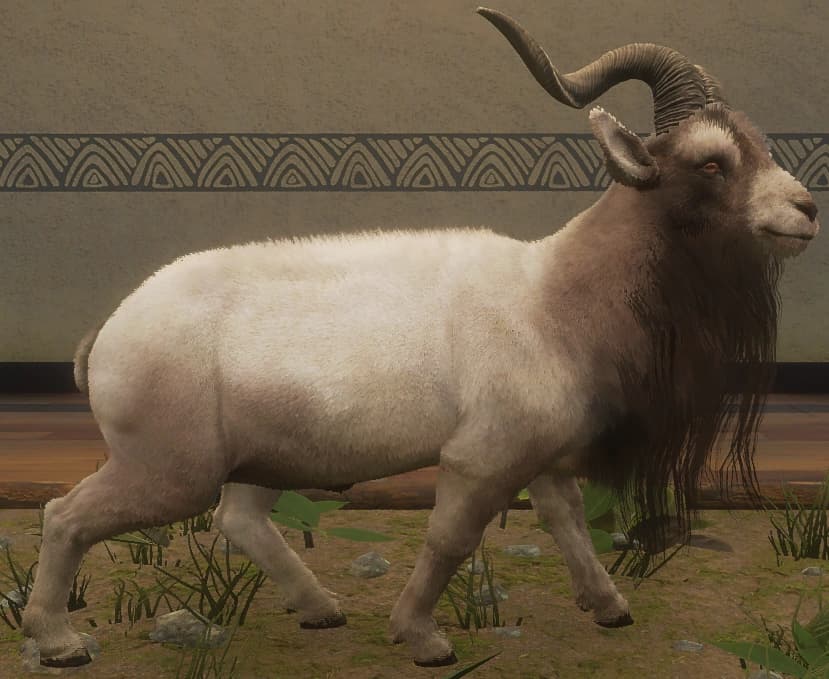 深褐色 - 右侧（雄）