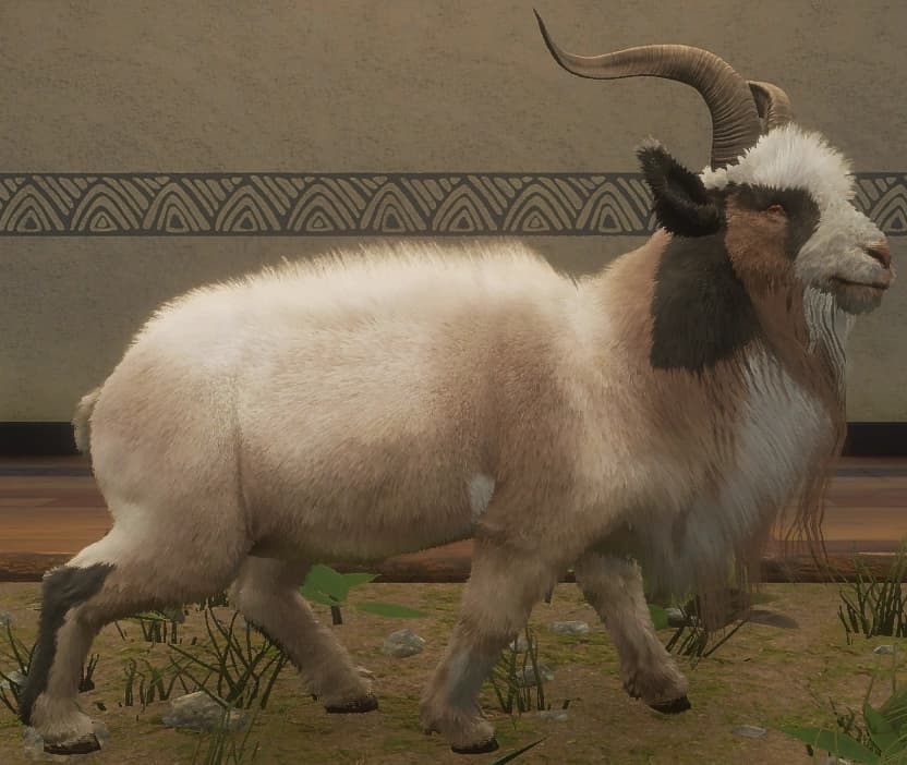 混合变体 1 - 右侧（雄）