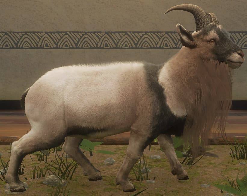 混合变奏2 - 右侧（雄）