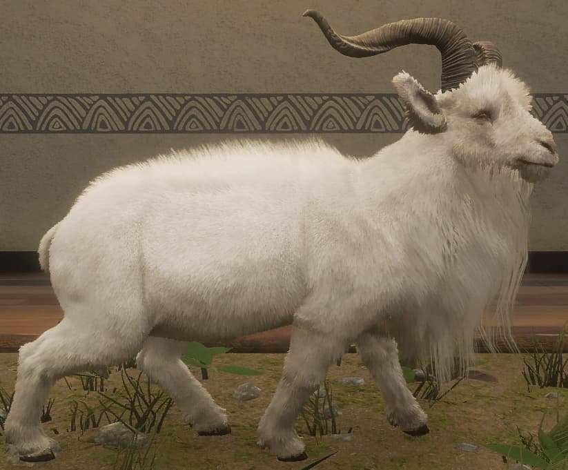 白色 - 右侧（雄）