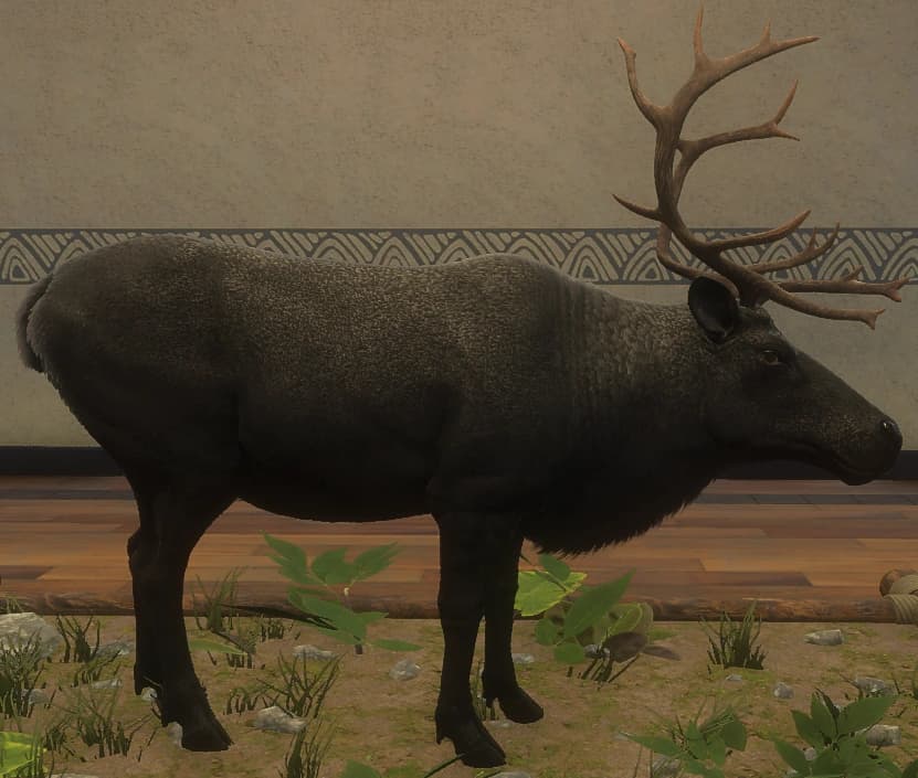 黑化 - 右侧（雄）