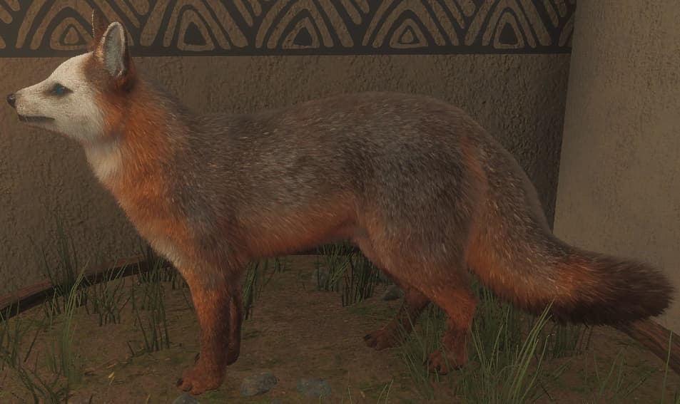 花斑变体 1 - 左侧