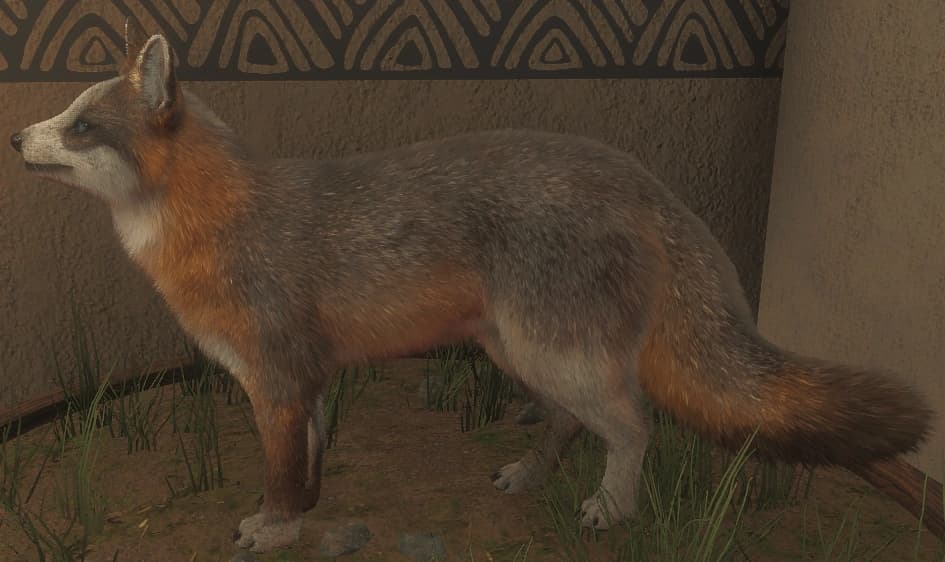 花斑变奏 2 - 左侧