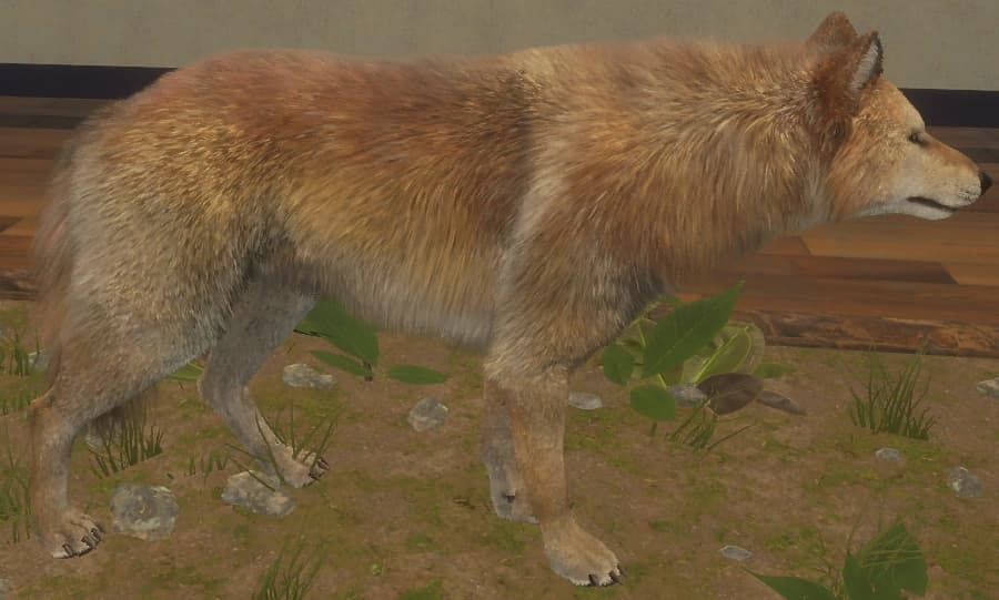 红棕色 - 红棕色