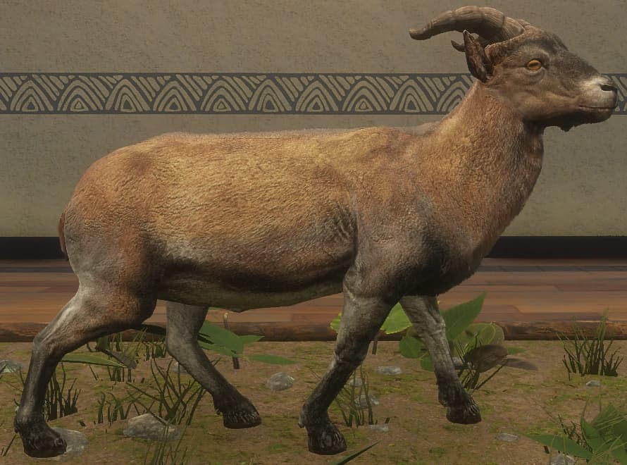 棕色混种 - 雄性