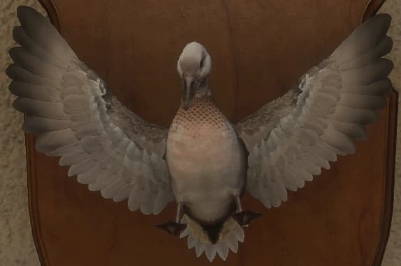 花斑变奏 2 - 正面（雄）