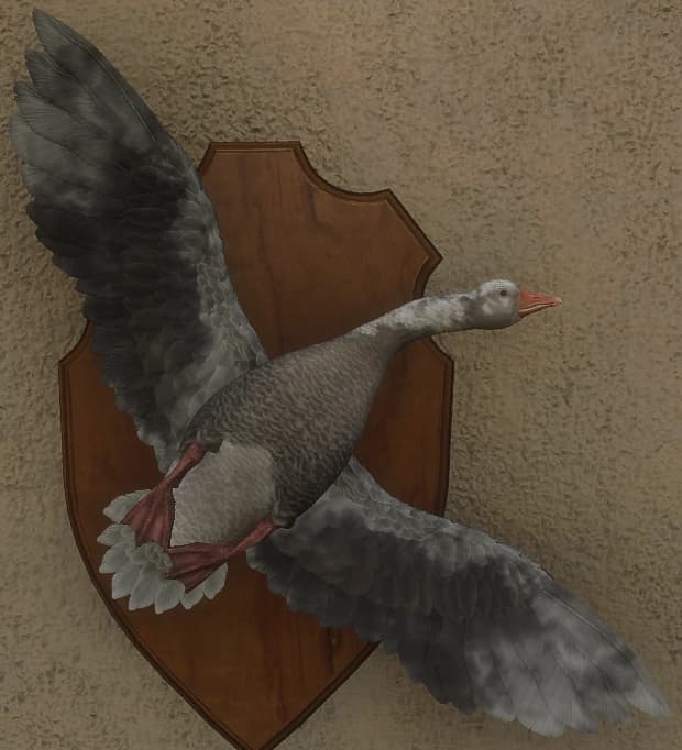 白变变异 1 - 正面