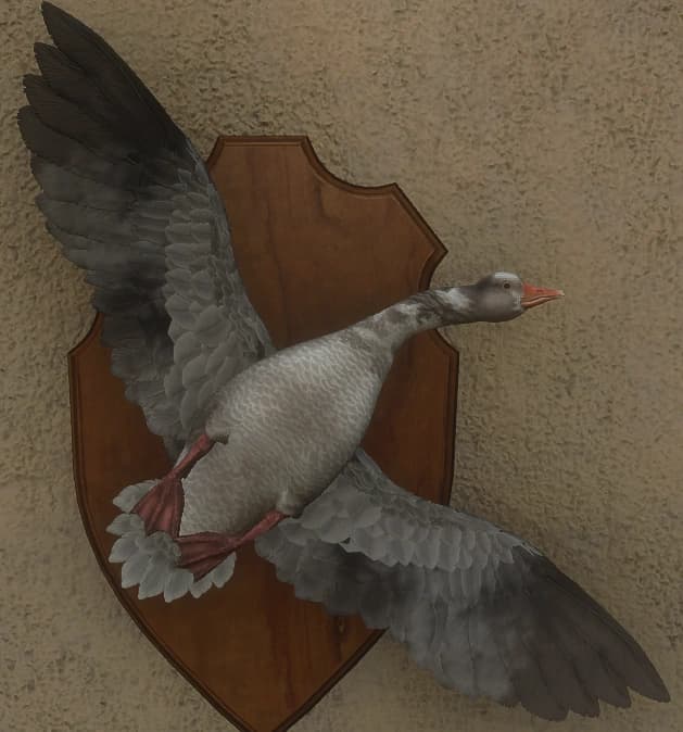 白变变异 2 - 正面