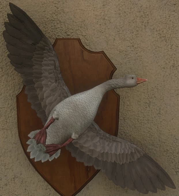 白变变异 3 - 正面