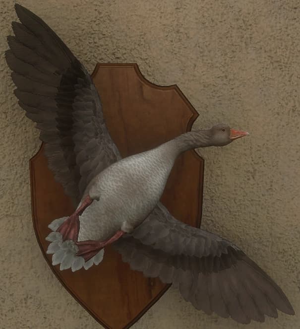 白变变异 5 - 正面