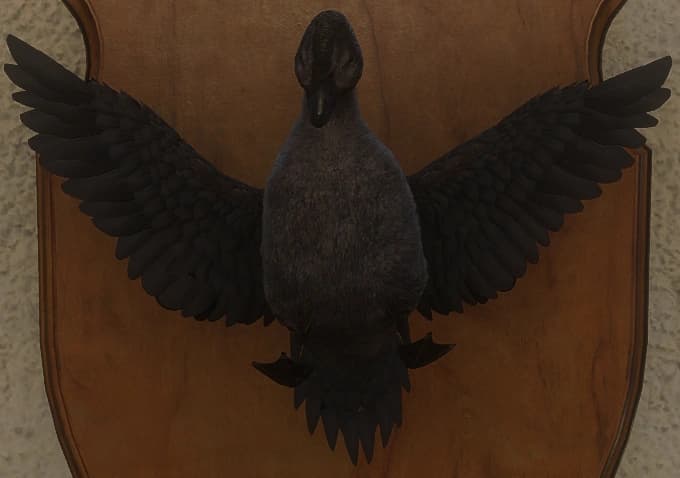 深色 - 正面（雌）