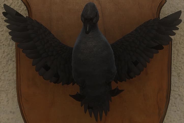 黑化 - 正面（雄）