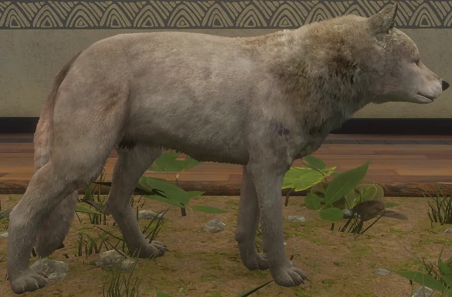 幻想（任务独家） - 幻想（任务独家）