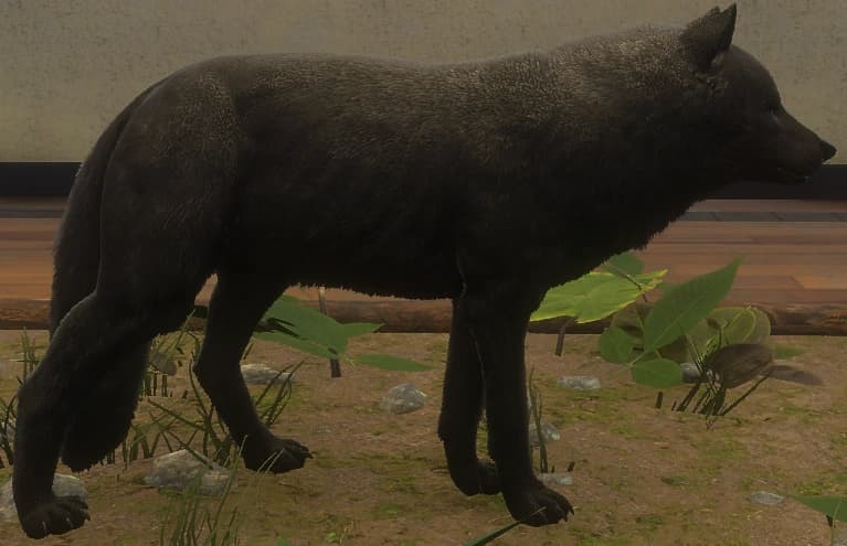 黑影（任务独家） - 黑影（任务独家）