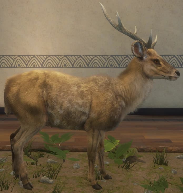 浅褐色 - 右侧（雄）