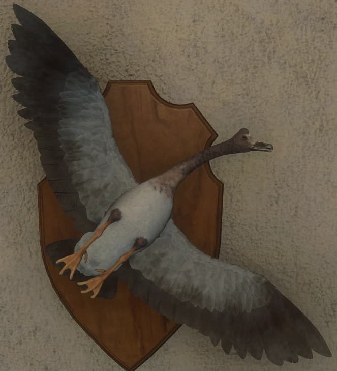 白变变异 2 - 正面