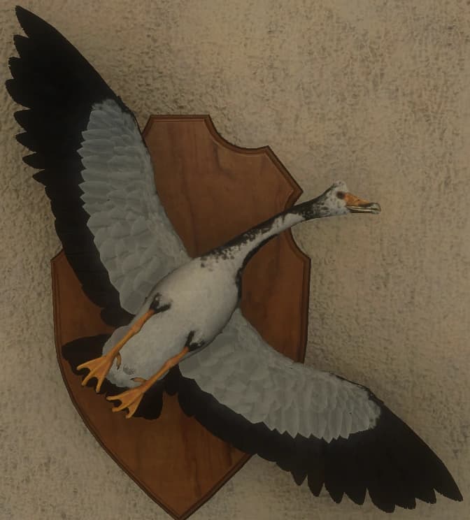 花斑变奏 2 - 正面