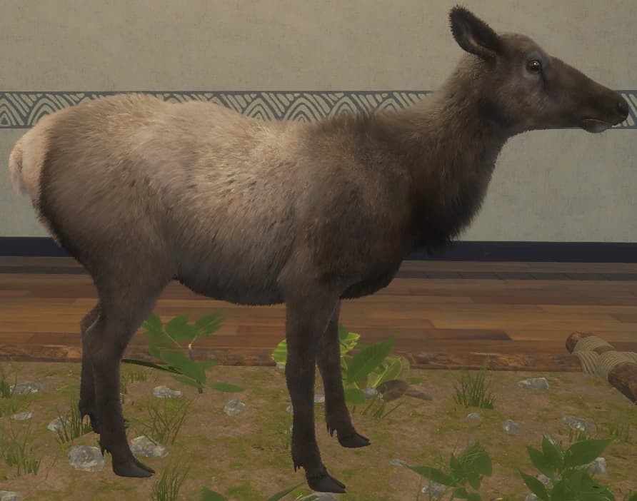 深色 - 右侧（雌）