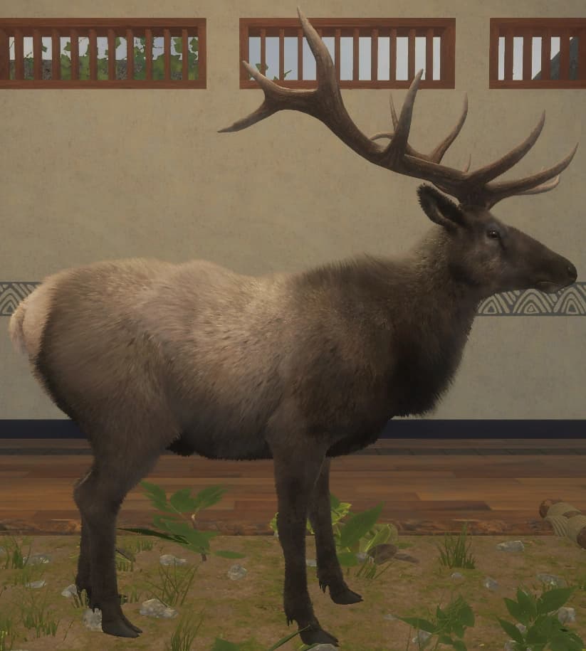 深色 - 右侧（雄）