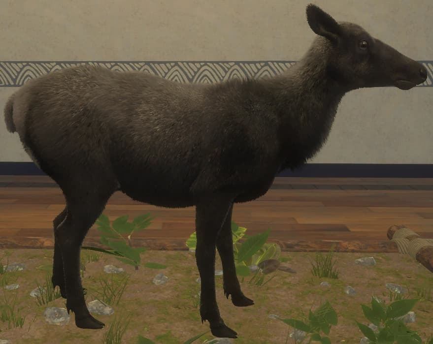 黑化 - 右侧（雌）