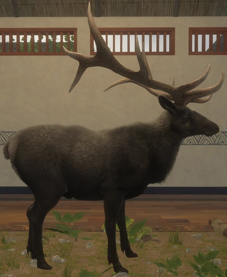 黑化 - 右侧（雄）