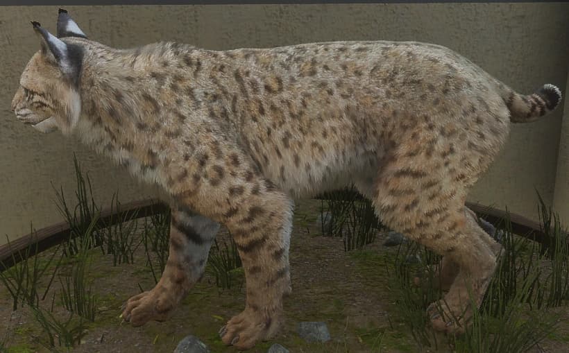 棕褐色 - 棕褐色