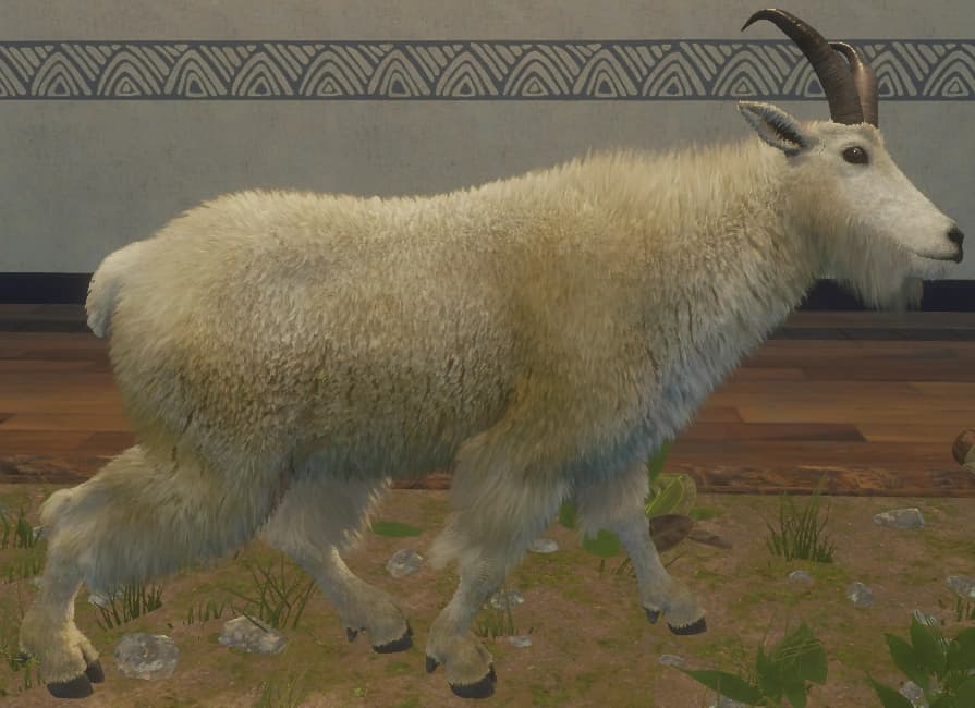 浅褐色 - 浅褐色