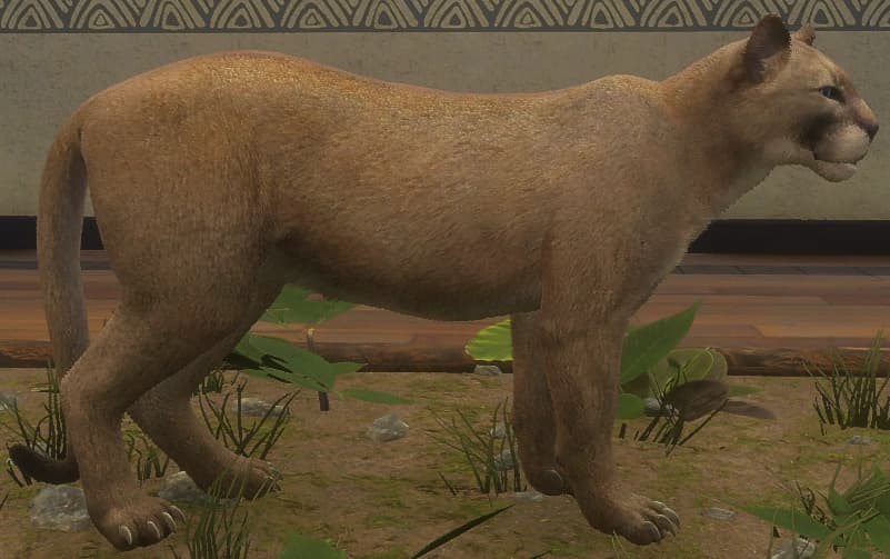 浅褐色 - 浅褐色