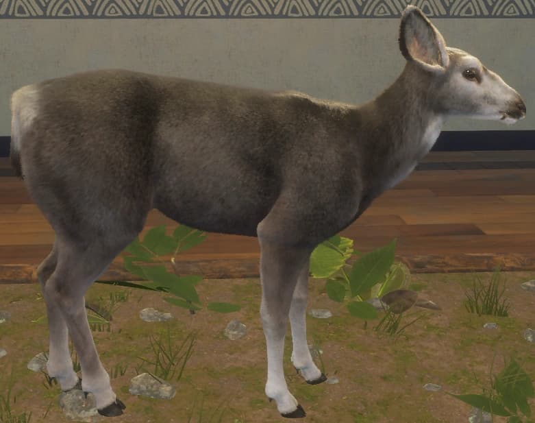 灰色 - 右侧（雌）