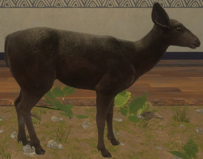 黑化 - 右侧（雌）