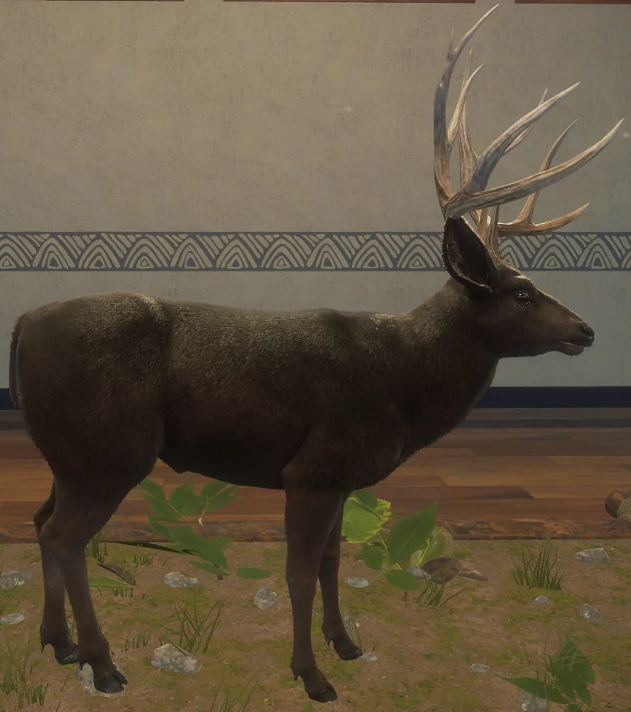 黑化 - 右侧（雄）