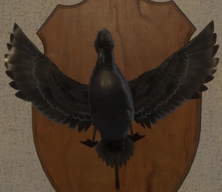 黑化 - 正面（雄）