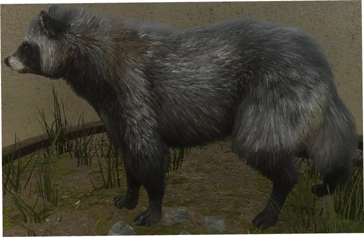 黑白色 - 黑白色