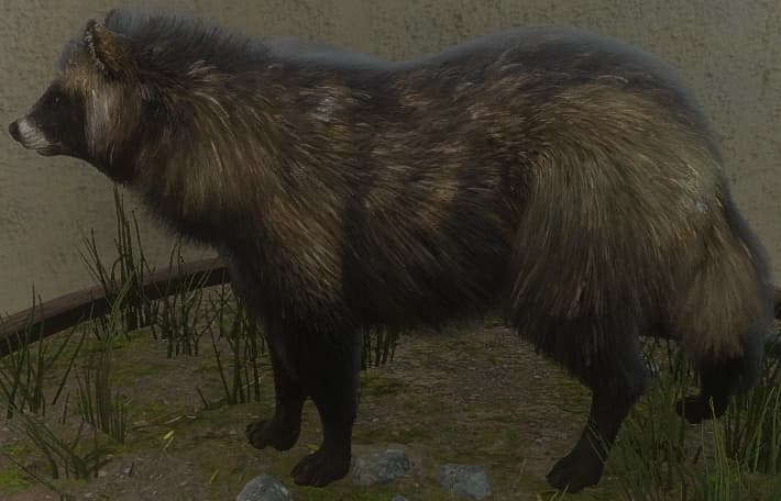 深褐色 - 深褐色