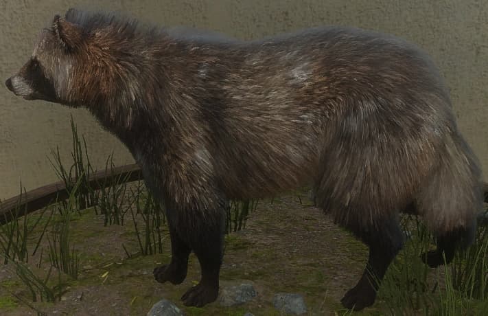 浅褐色 - 浅褐色