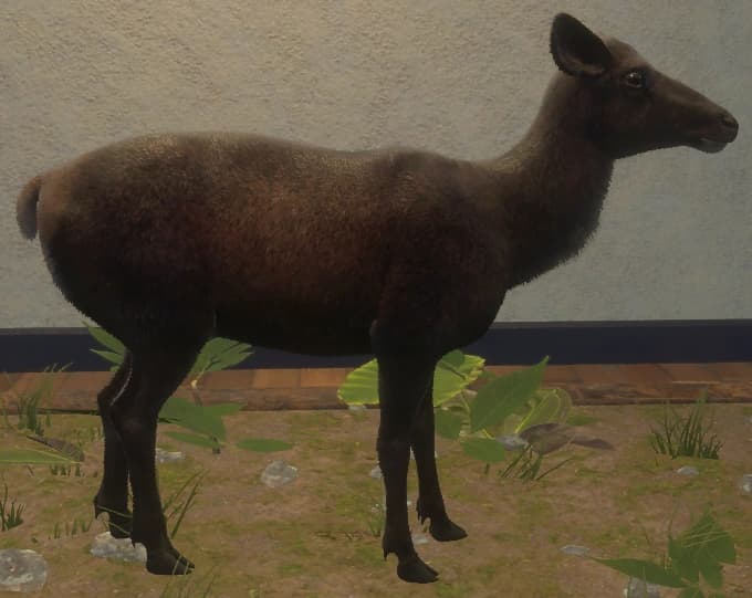 黑化 - 右侧（雌）