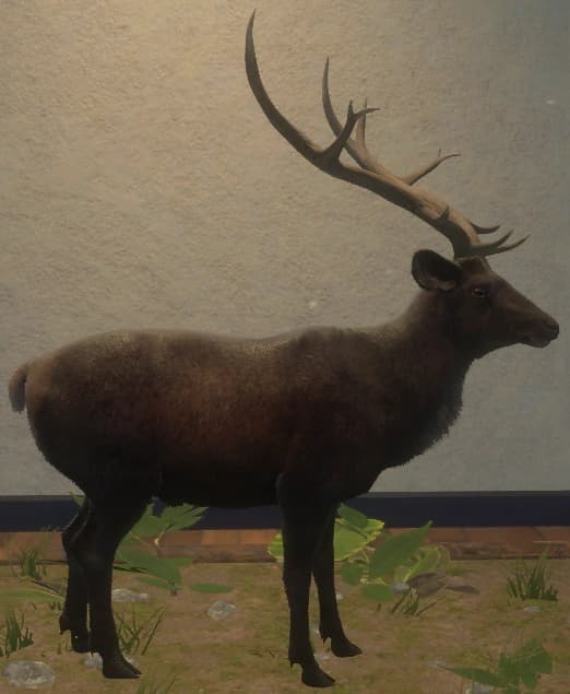 黑化 - 右侧（雄）