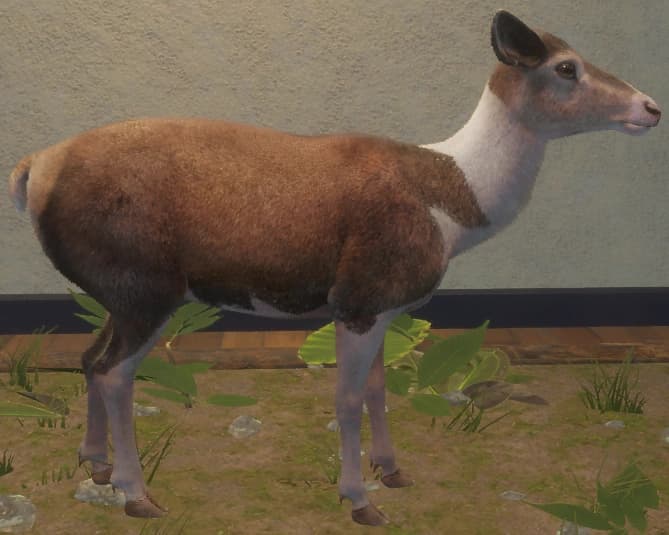 花斑变奏 2 - 右侧（雌）