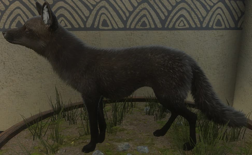 黑化 - 左侧（雌）