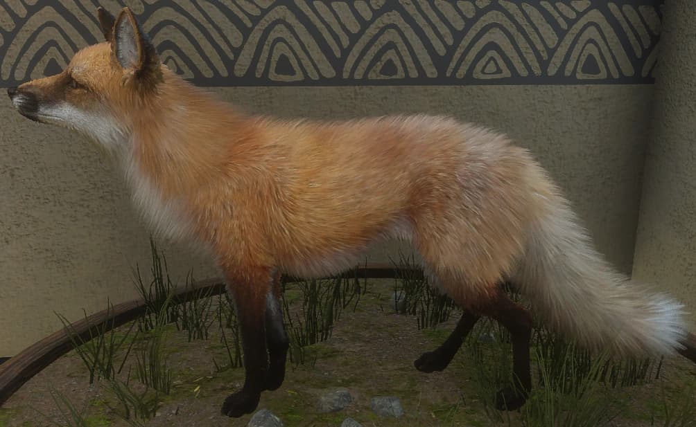 橙色 - 左侧（雌）