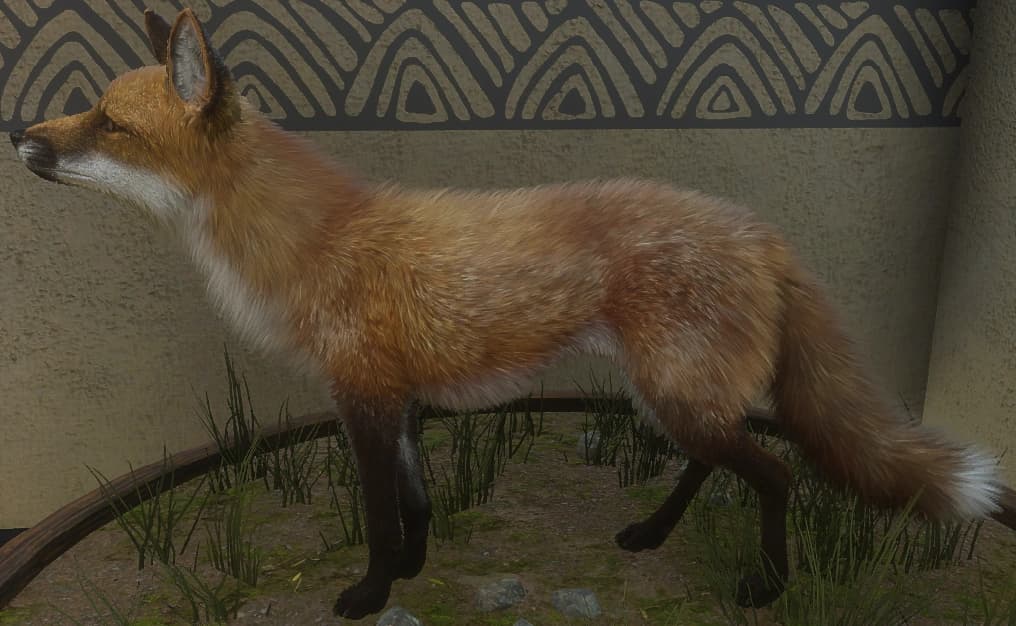 红色 - 左侧（雌）