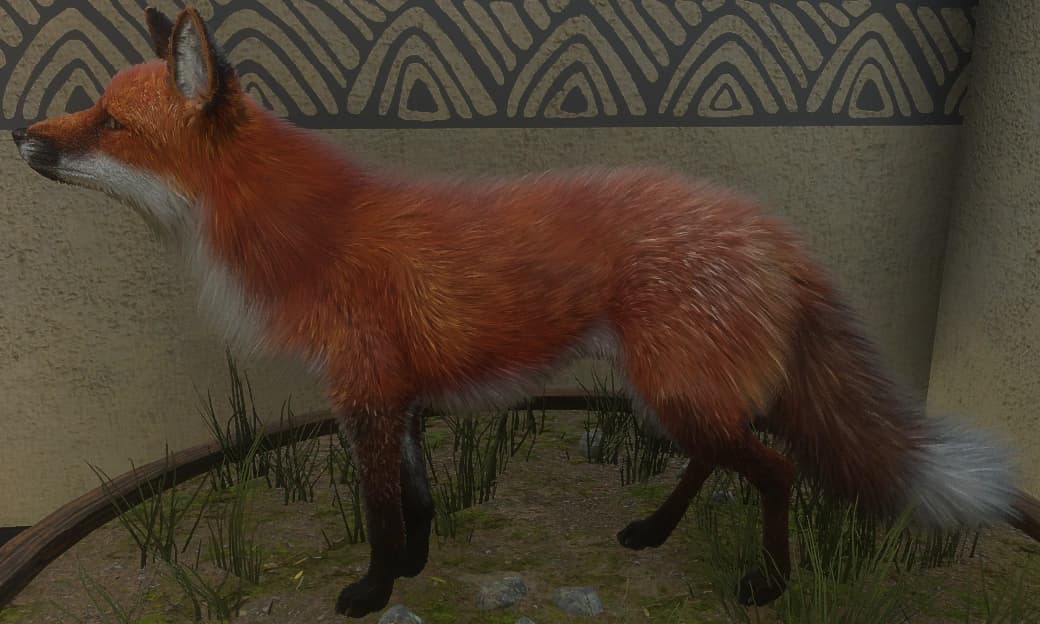 红色 - 左侧（雄）