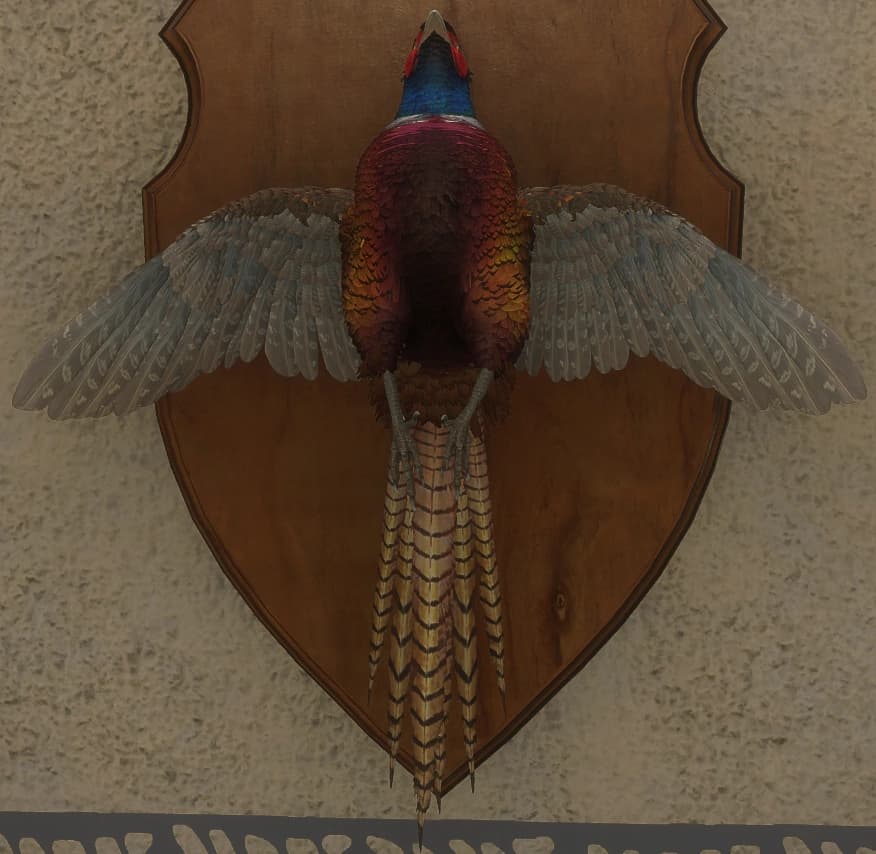 褐色 - 正面（雄）