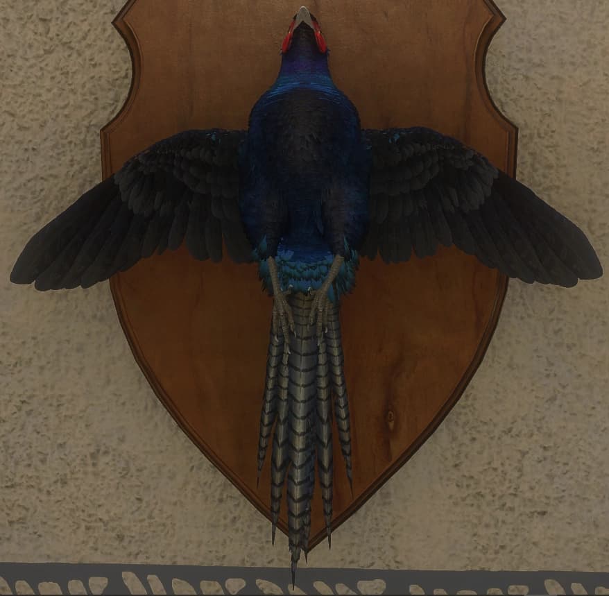 黑化 - 正面（雄）