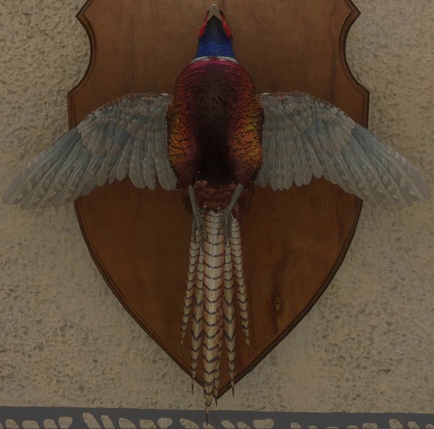 白棕色 - 正面（雄）