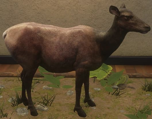 褐色 - 左侧（雌）