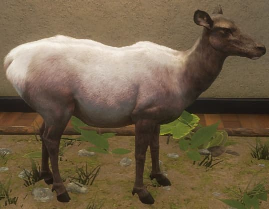 浅褐色 - 左侧（雌）